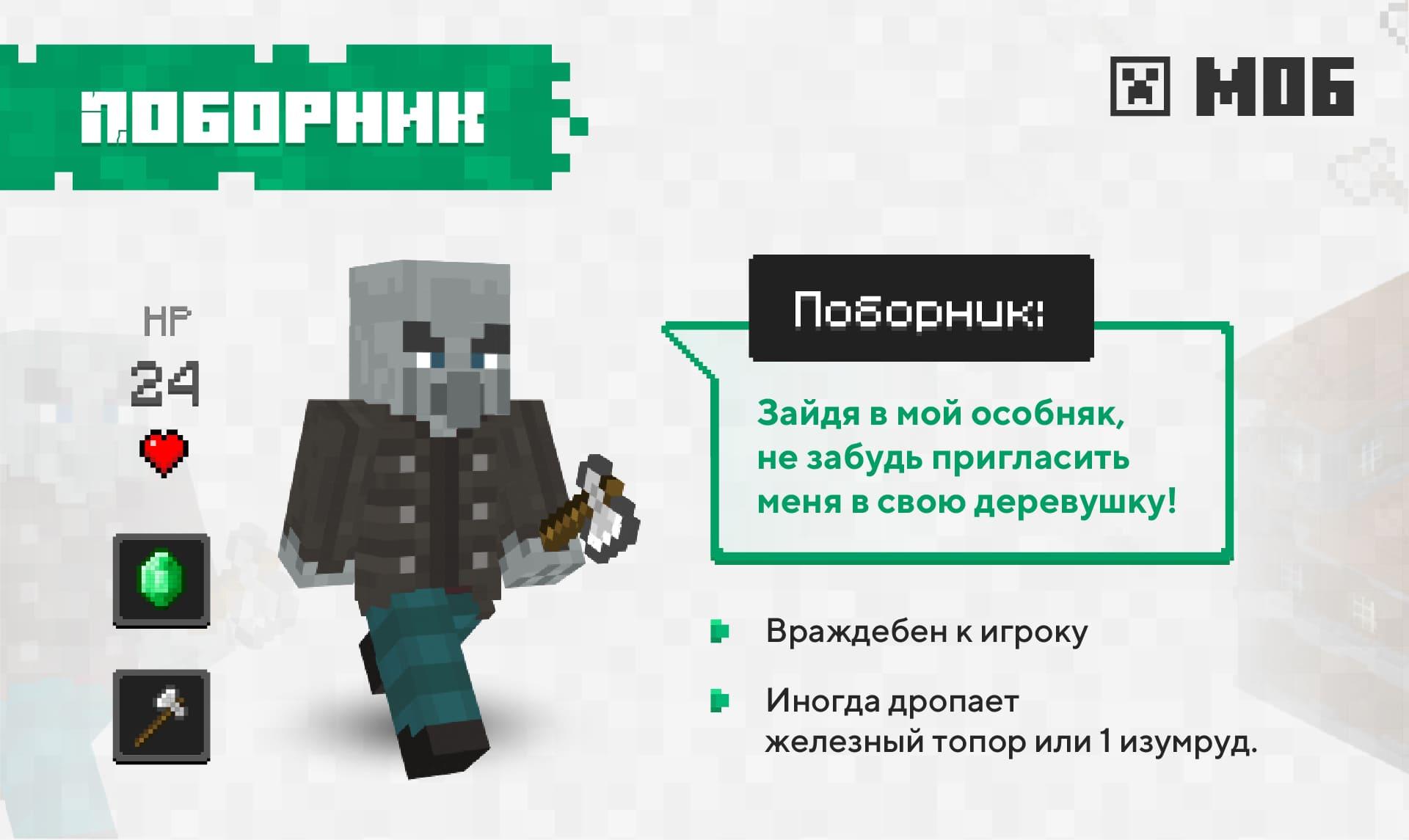 Изображение и описание Поборника