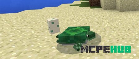 Черепаха снесла яйцо