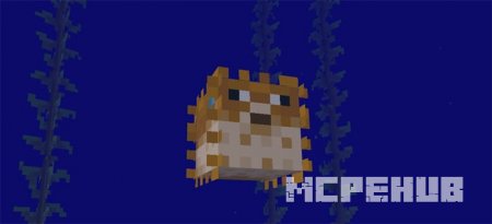 Надувшаяся рыба-ёж