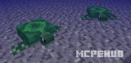 Парочка черепах на дне океана