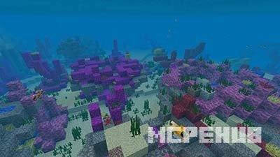 Кораллы в Майнкрафт ПЕ