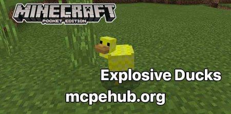 Мод: Взрывные утки для Minecraft PE