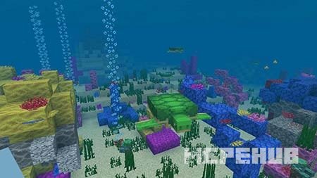 Черепаха плывёт под водой