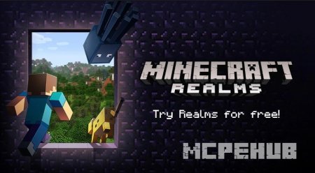 Скриншот Realms для Minecraft