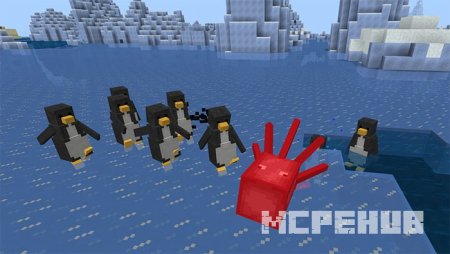 Стая пингвинов атакуют молюска