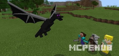 Мод: Младенец Дракона Края