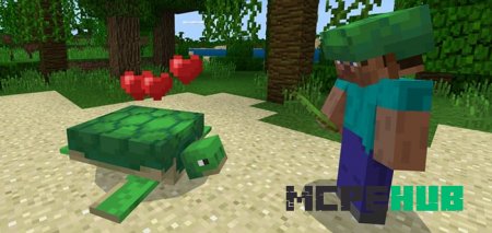 Скриншот Turtle Plus 1