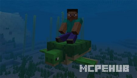 Скриншот Turtle Plus 3