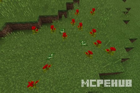 Новые красивые цветы, придающие игрокам положительные эффекты