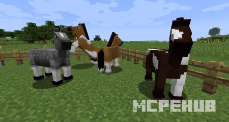 ослы, лошади и мулы