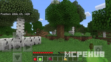 Игрок с зелёным яблоком в руке