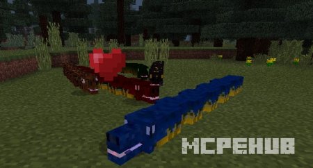 Представление пяти видов змей