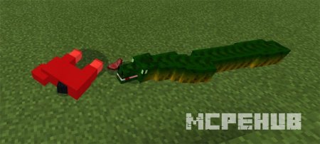 Дикая змея убила безобидное животное