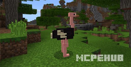 Мод: Страусы для Minecraft