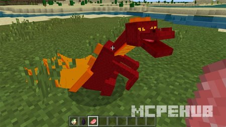 Кормление маленького красного дракона