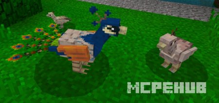 Мод: Павлины для Minecraft 1.8
