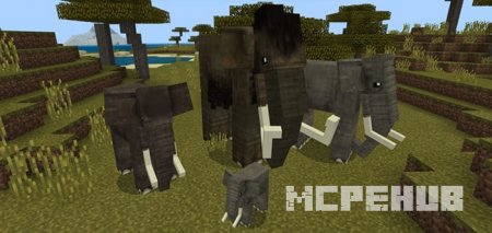 Взрослые и молодые особи слонов и мамонтов в саванне