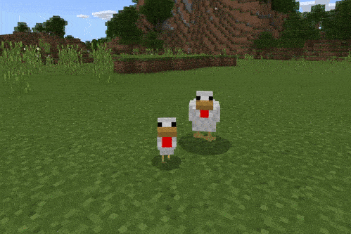 Новые анимации куриц