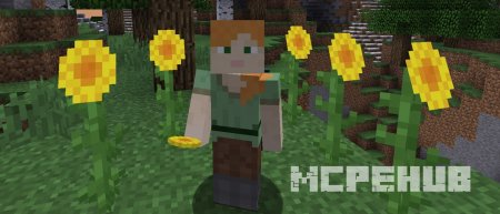 Подсолнухи в Minecraft Bedrock