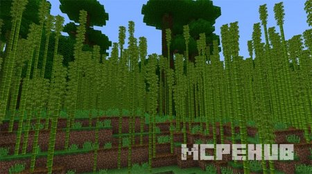 Скриншот Bamboo Forest & Pandas 4