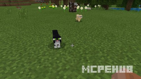 кошки в Minecraft