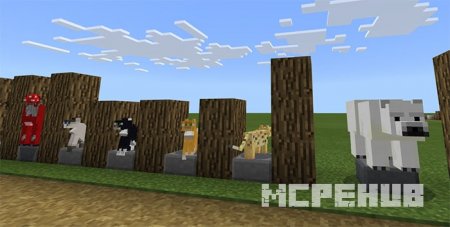 Карта: Тестирование текстур