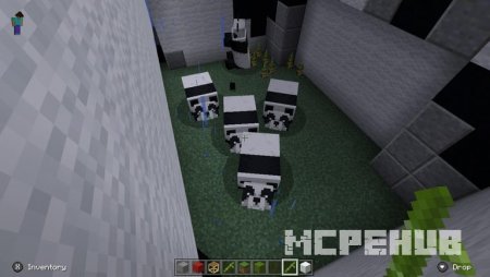 место обитания панд