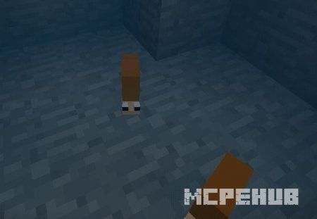 Милые хомячки