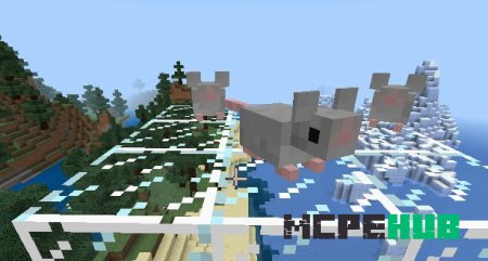 Три серые мыши на стеклянных блоках