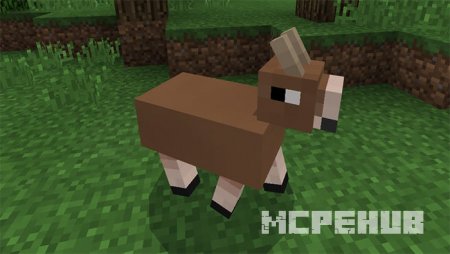 Милый оленёнок на равнине