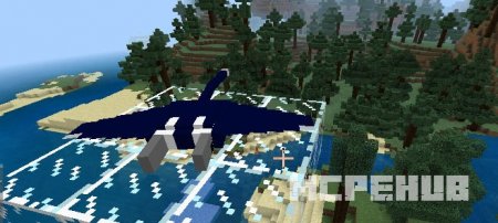 Колибри на стеклянных блоках