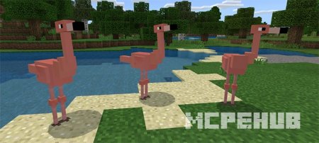 Мод: Новые виды животных