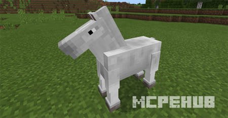 Мод: Старая лошадь