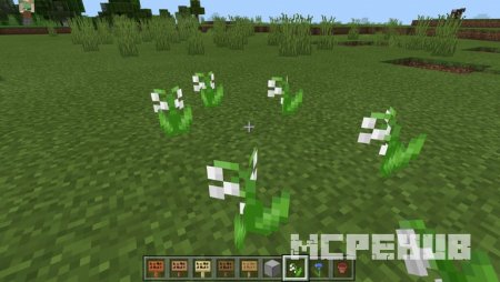 новые цветы - ландыши