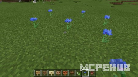 васильки в Minecraft