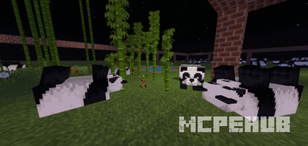 Карта: Заповедник для панд