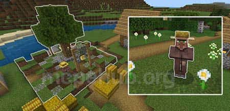 Новые деревенские жители