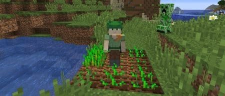 Польза семян в игре и не только