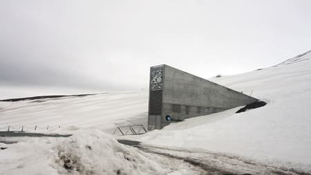 безопасное хранилище для семян