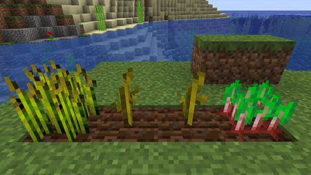 семена в Minecraft