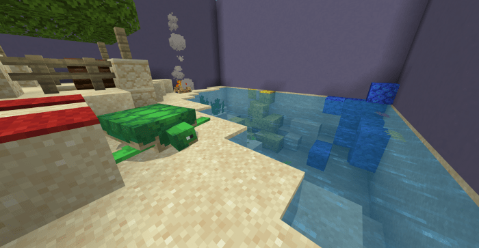 черепаха в комнате с водой