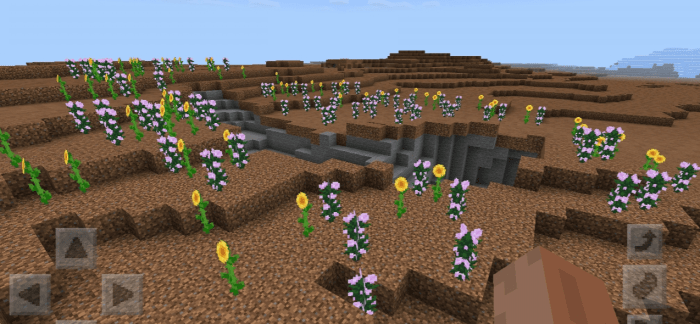 Биом грязной, цветочной пустыни