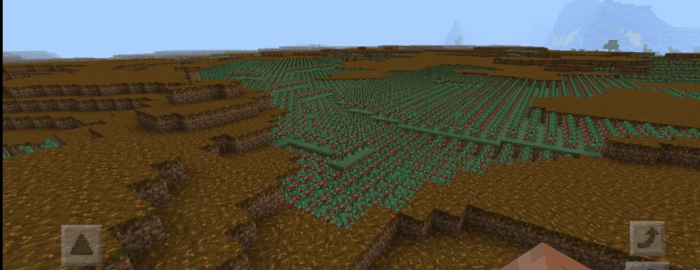 Биом тропического леса со сладкими ягодами