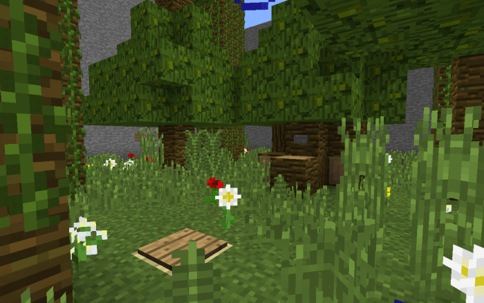 лесной парк отдыха