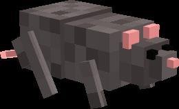 Представление мыши