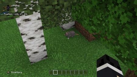 Мышь спряталась под деревом в игре