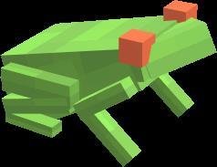 Представление лягушки