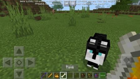 Приручение мастера-пса