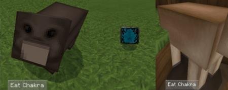 Поглощение чакры с животных