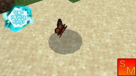 бабочки в режиме выживания мод майнкарфт